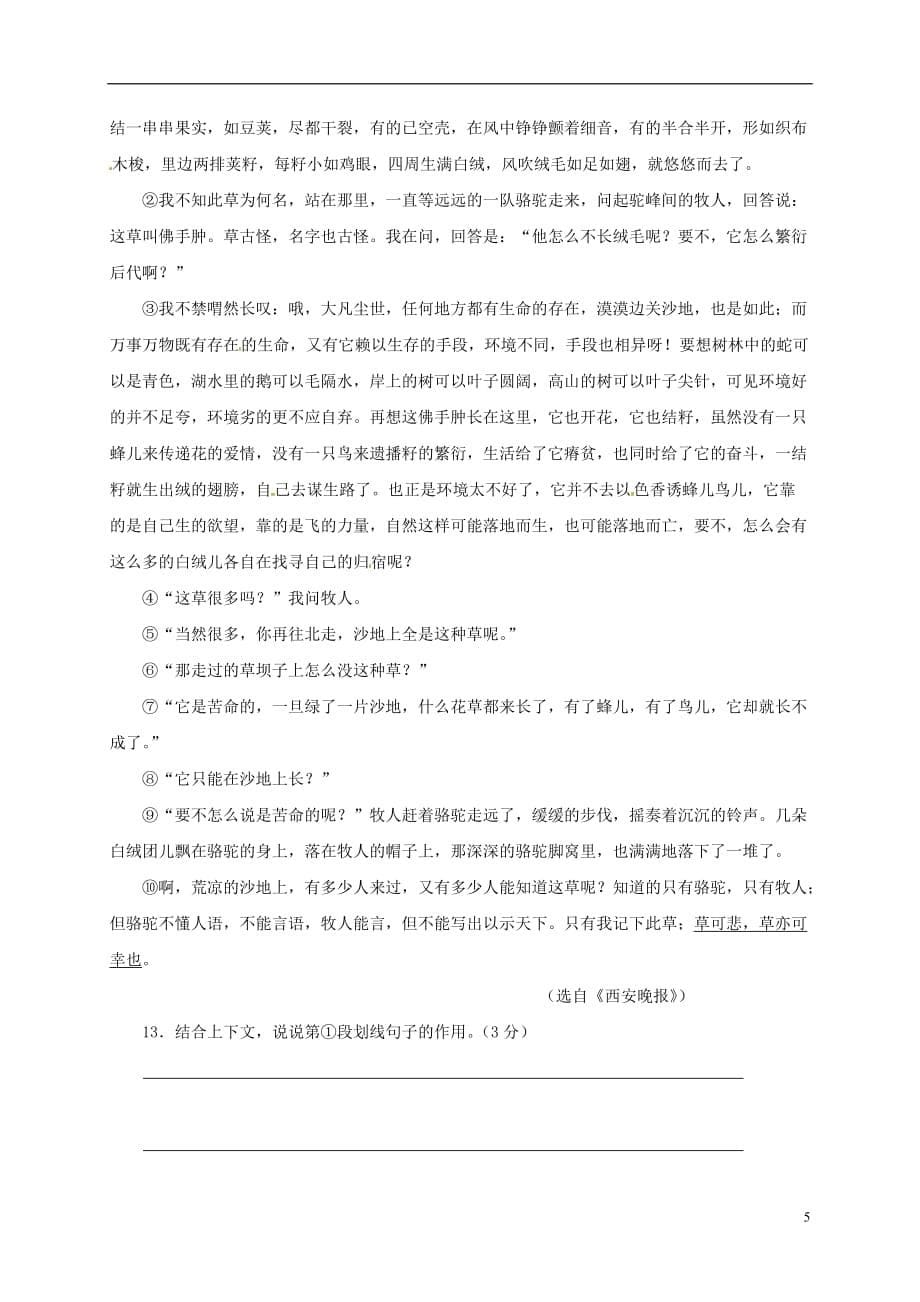 山东省滨州市邹平双语学校九年级语文上学期期末考试试题（中考班）新人教版_第5页