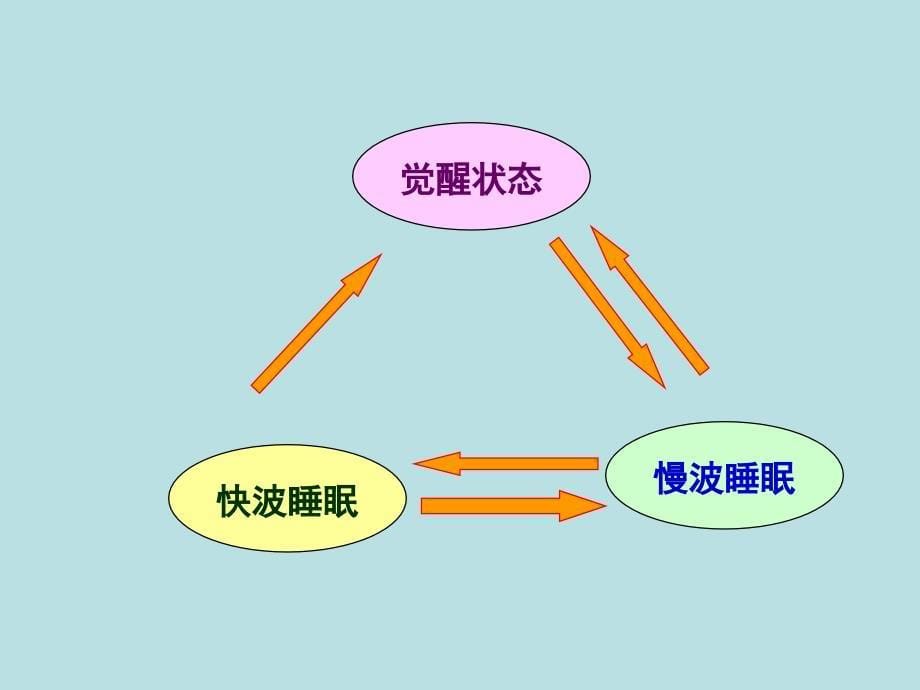 理解巴比妥类的作用特点、用途及急性中毒的解救原则_第5页