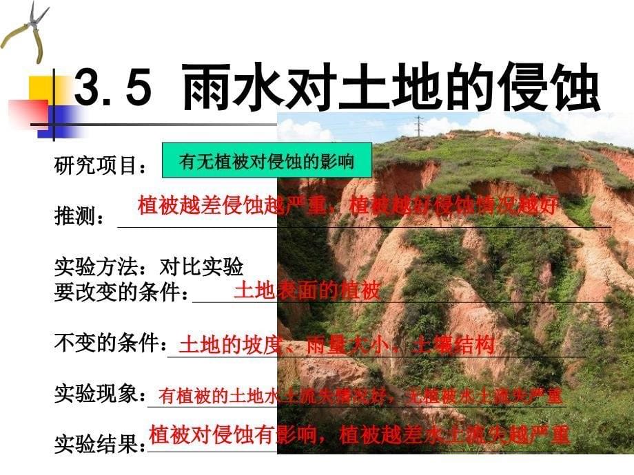 五年级科学上册第三单元雨水对土地的侵蚀_第5页