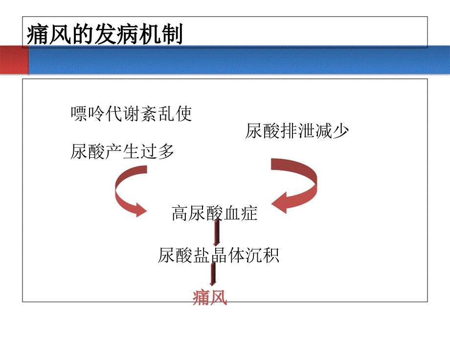 痛风的诊断与治疗(1)_第3页