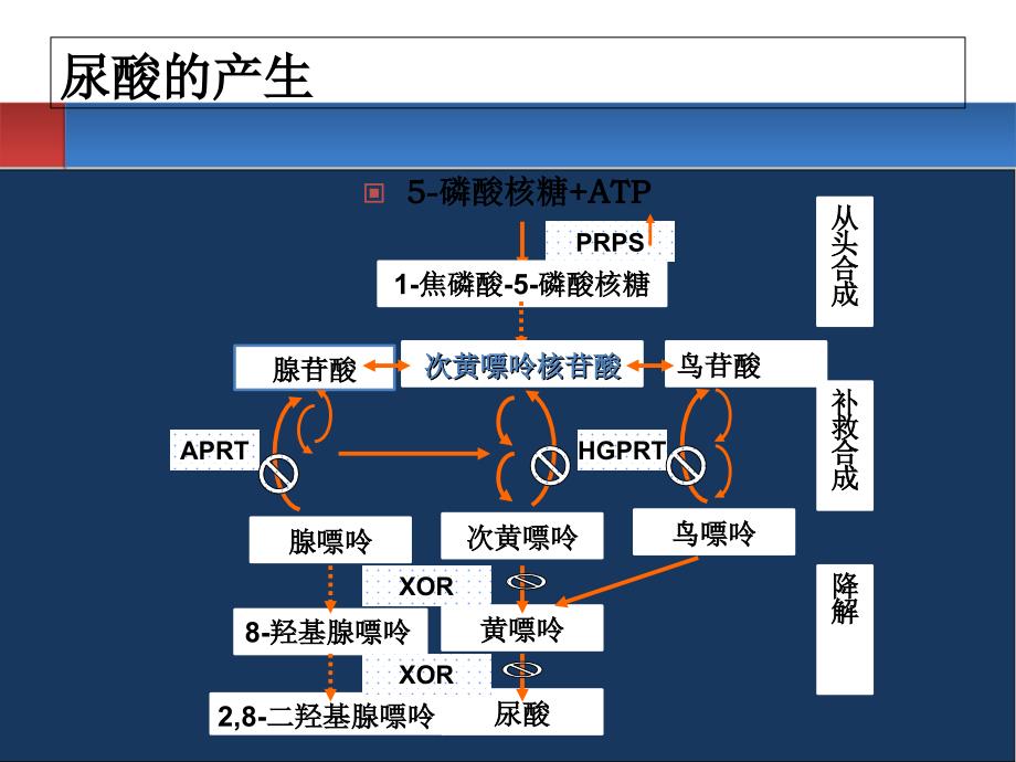 痛风的诊断与治疗(1)_第4页