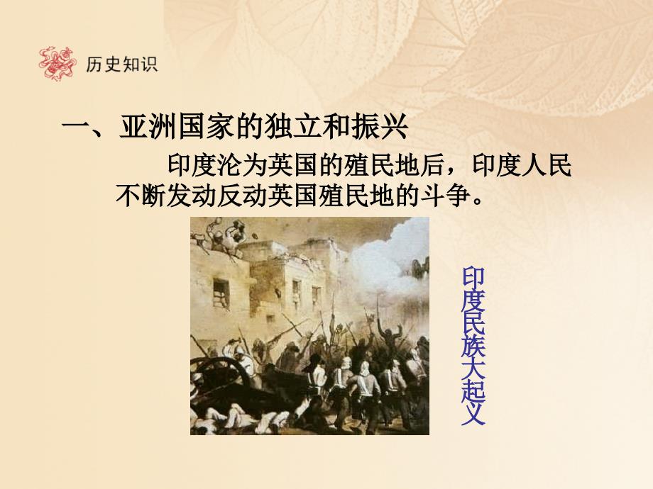 2018春九年级历史下册 第6单元 亚非拉国家的独立和振兴 12 亚非拉的奋起课件 新人教版_第3页