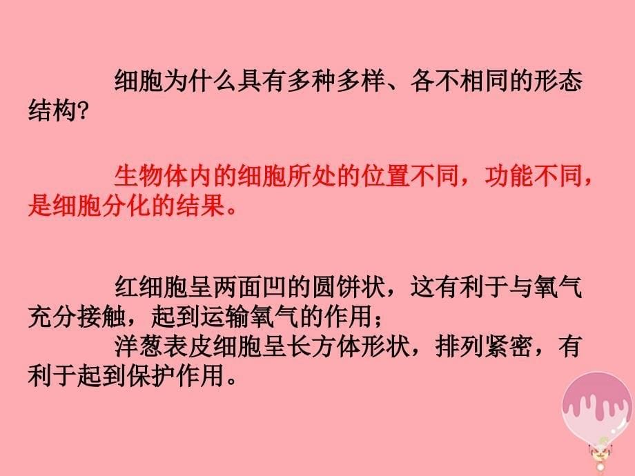 云南省峨山彝族自治县高中生物 第一章 走近细胞 1.2 细胞的多样性和统一性2课件 新人教版必修1_第5页