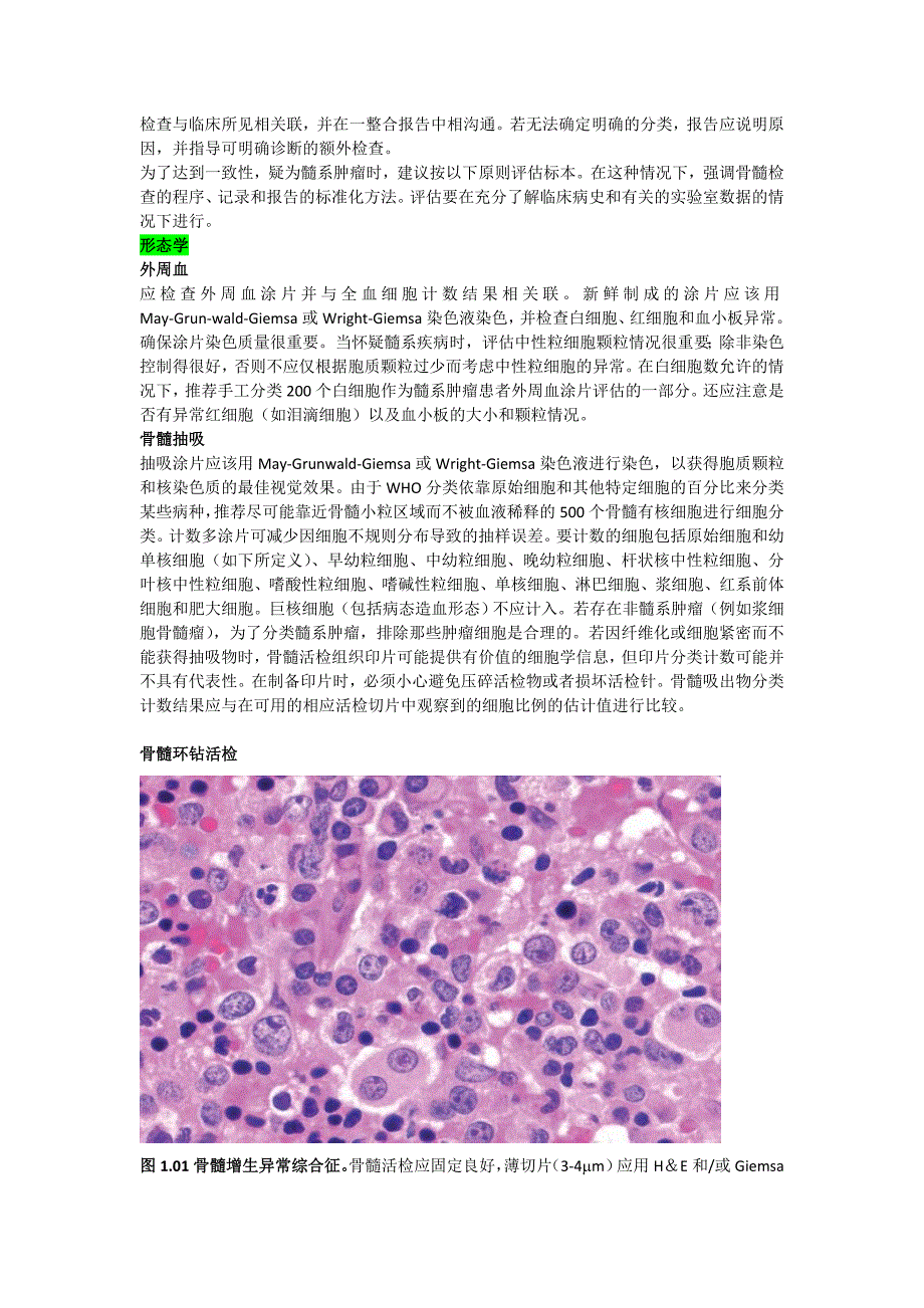 WHO髓系肿瘤分类原则_第2页