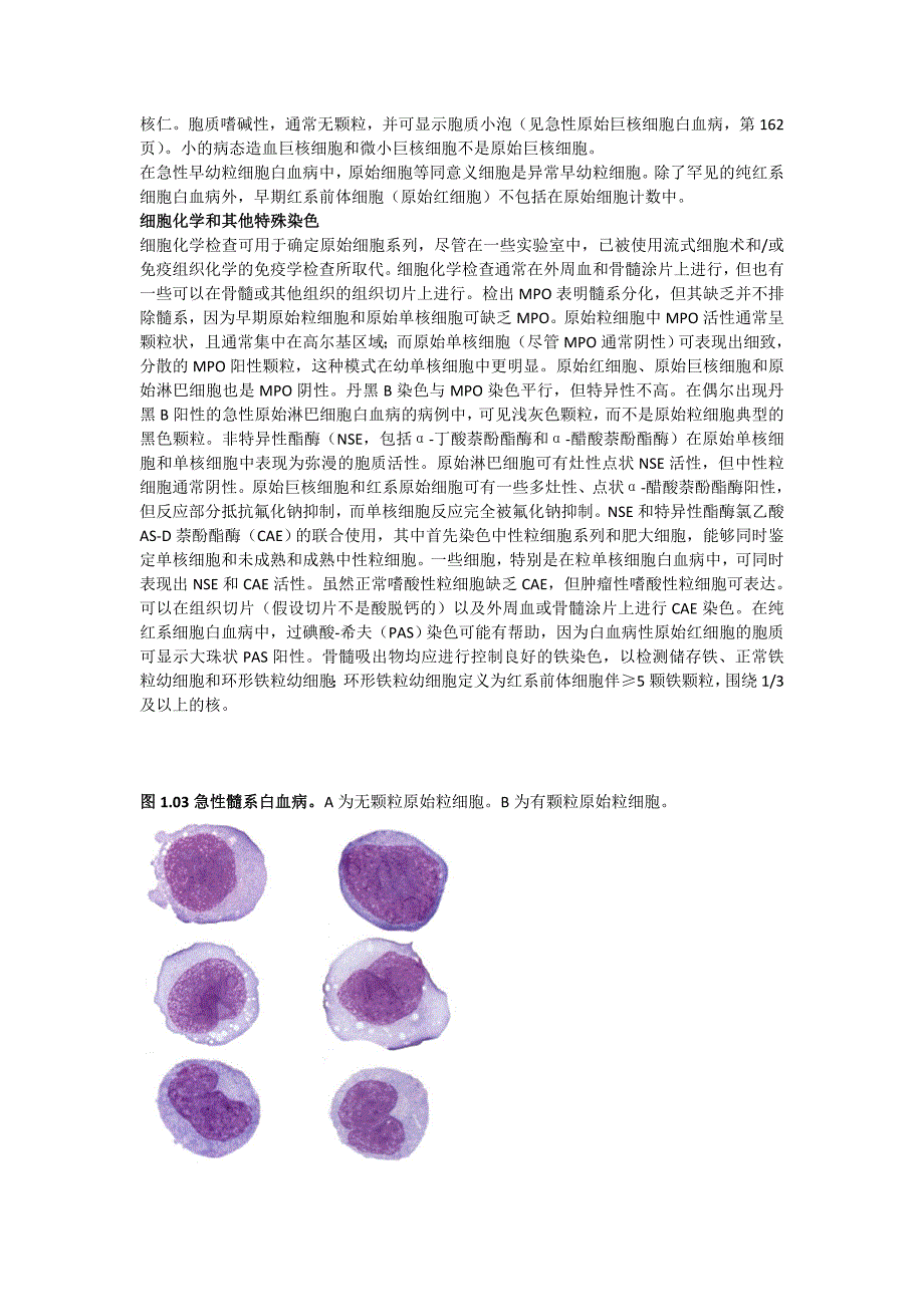 WHO髓系肿瘤分类原则_第4页