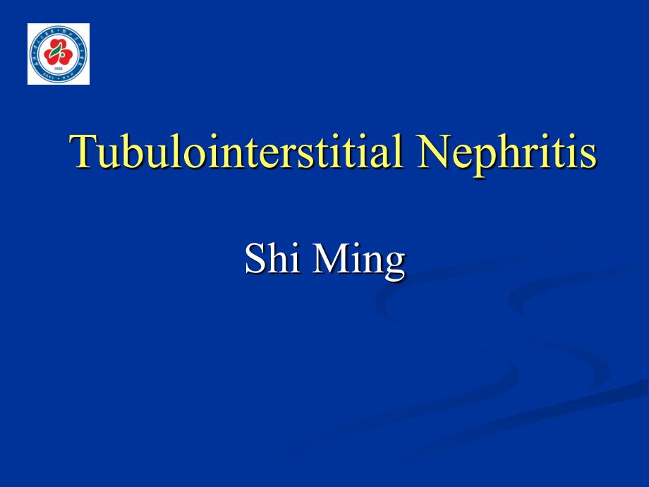 肾小管间质性肾炎-Tubulointerstitial-nephritis_第2页