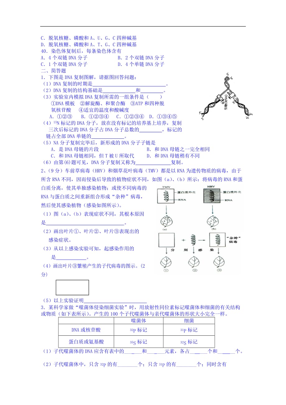 人教版生物必修二《第3章：基因的本质》单元测试(卷-含答案)_第4页