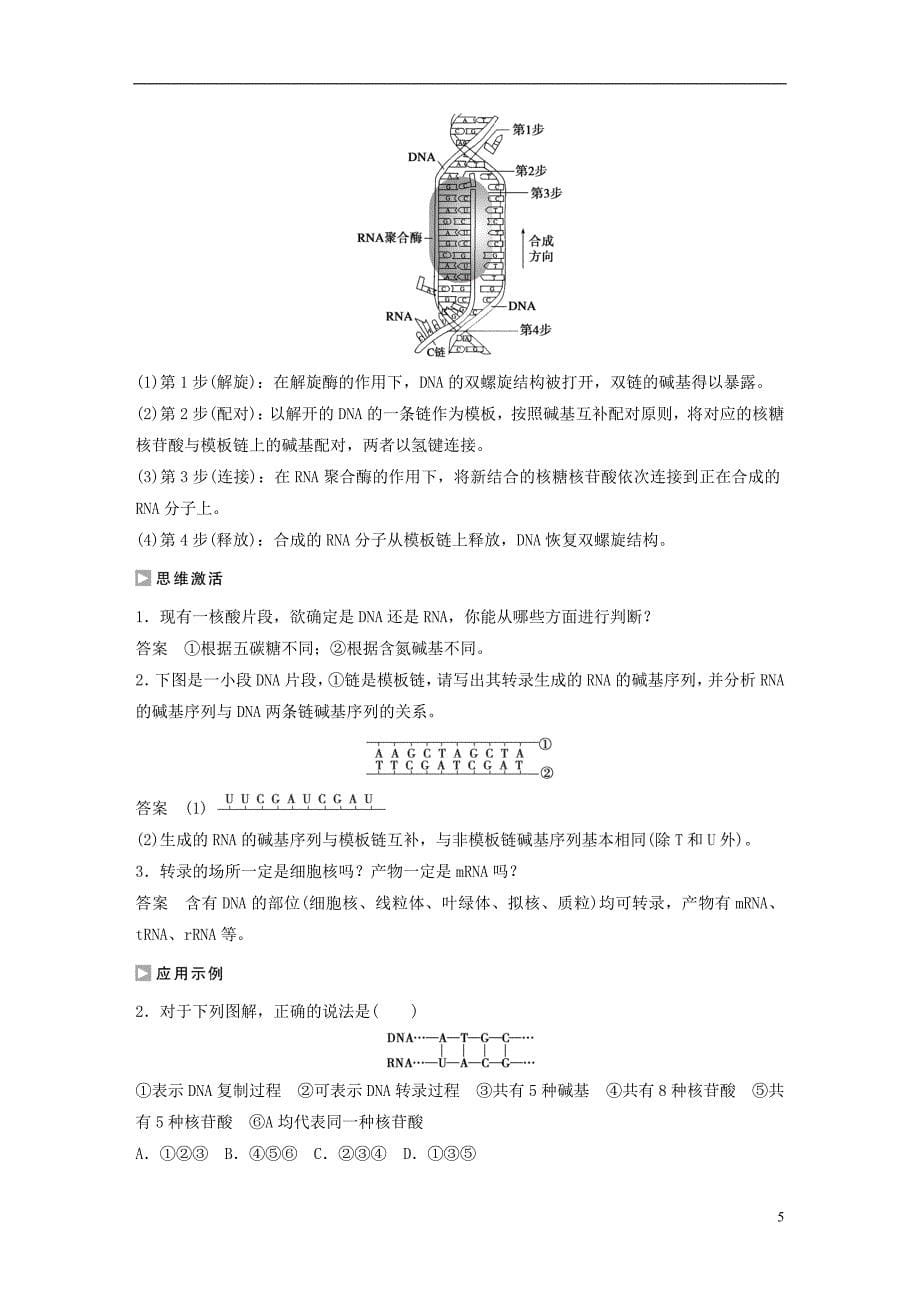 高中生物第四章第三节基因与DNA的关系及遗传信息的转录（第1课时）课时作业苏教版必修2_第5页