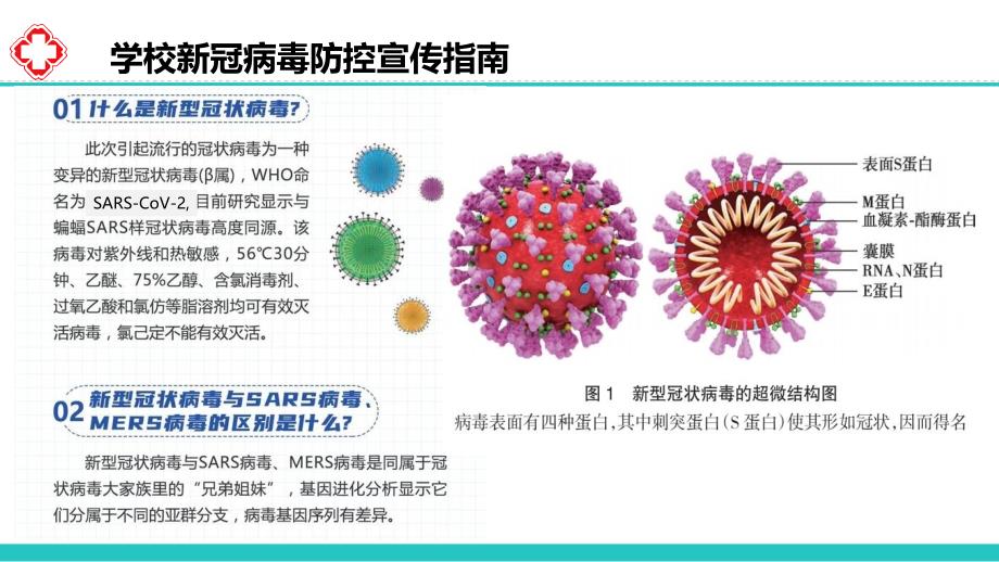 学校新冠病毒防控宣传指南_第3页