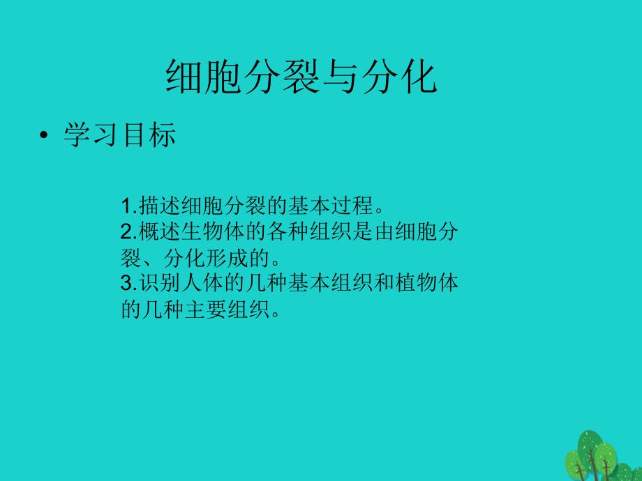 七年级生物上册 2.4.1 细胞的分裂与分化课件2 苏教版_第2页