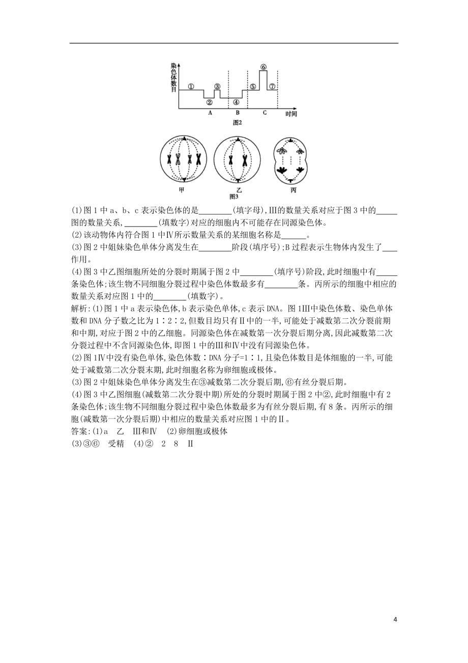 高中生物第2章基因和染色体的关系第1节减数分裂和受精作用第2课时受精作用课时训练新人教必修2_第4页