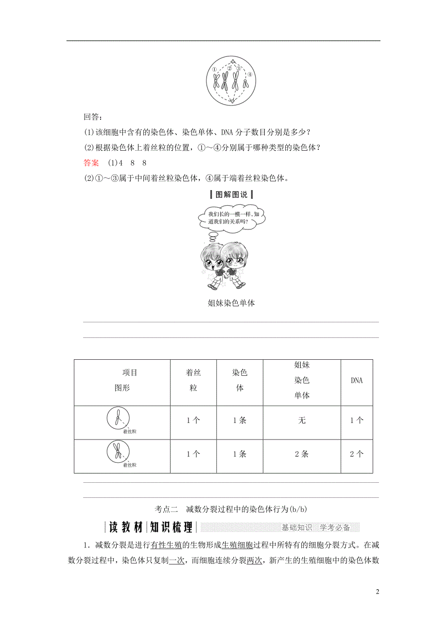 高中生物第二章染色体与遗传第6课时减数分裂中的染色体变化（Ⅰ）同步备课教学案浙科必修2_第2页