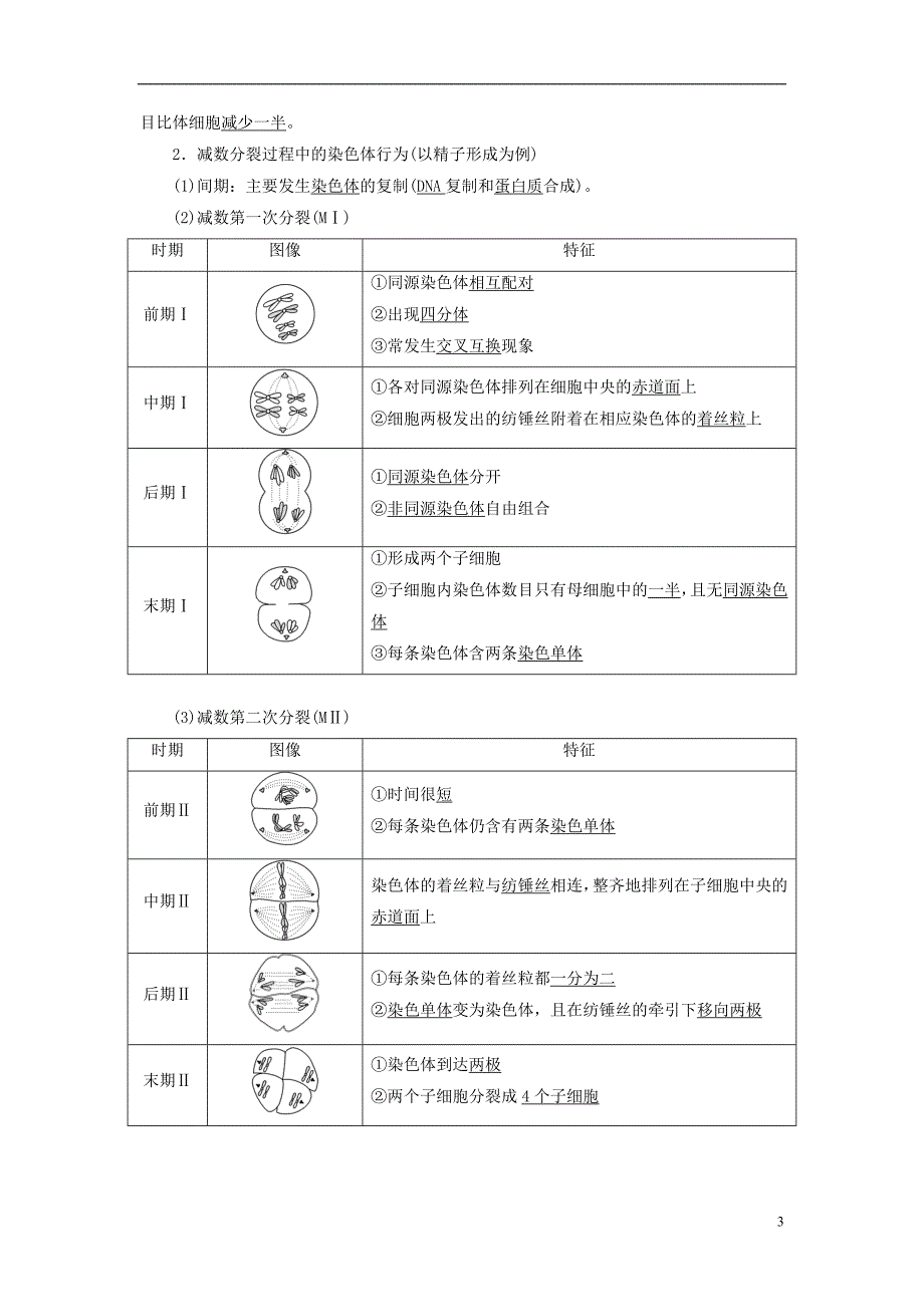 高中生物第二章染色体与遗传第6课时减数分裂中的染色体变化（Ⅰ）同步备课教学案浙科必修2_第3页