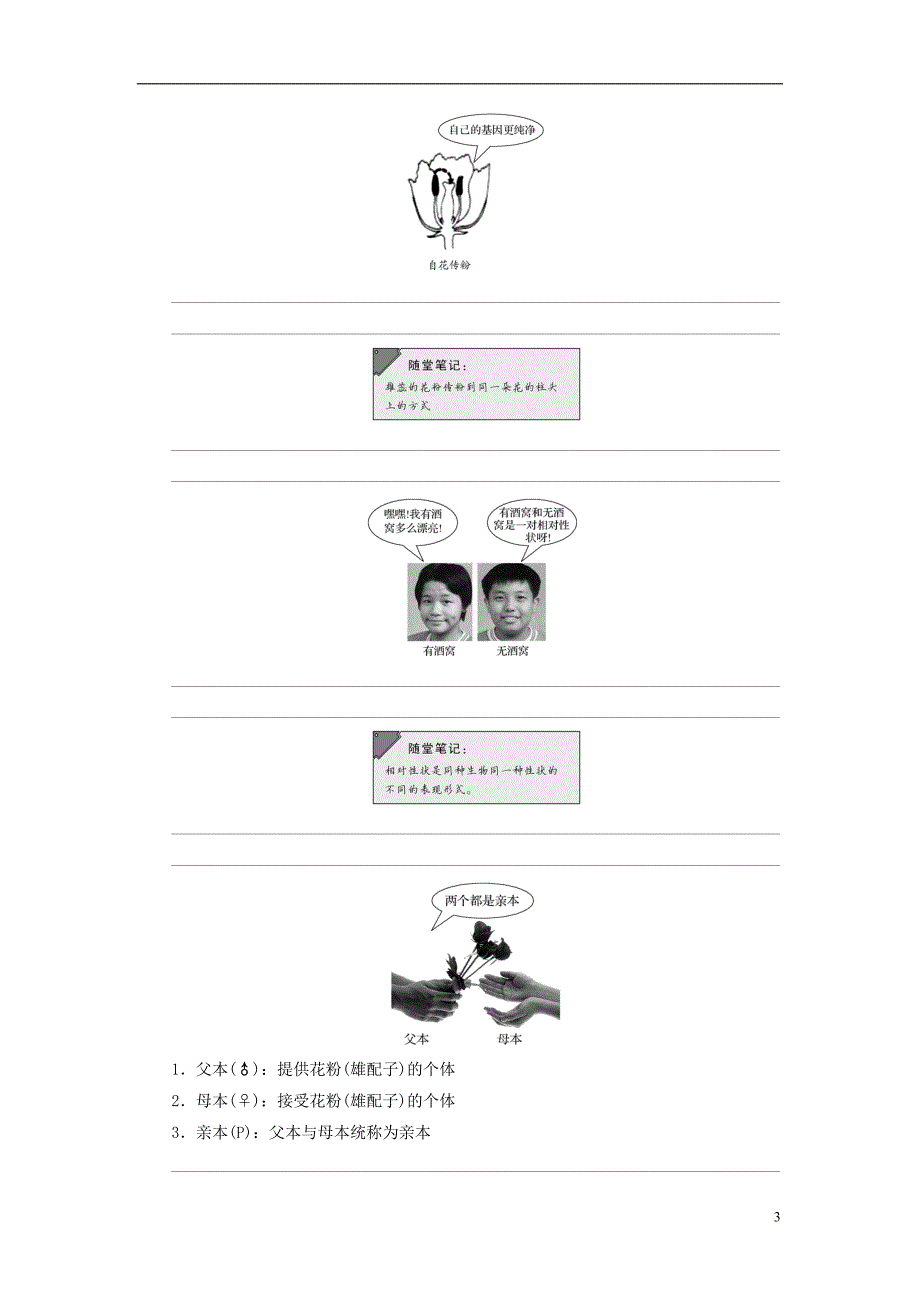 高中生物第一章孟德尔定律第1课时分离定律（Ⅰ）同步备课教学案浙科必修2_第3页