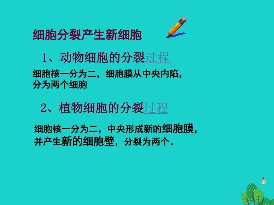 七年级生物上册 2.4.1 细胞的分裂与分化课件1 苏教版_第5页