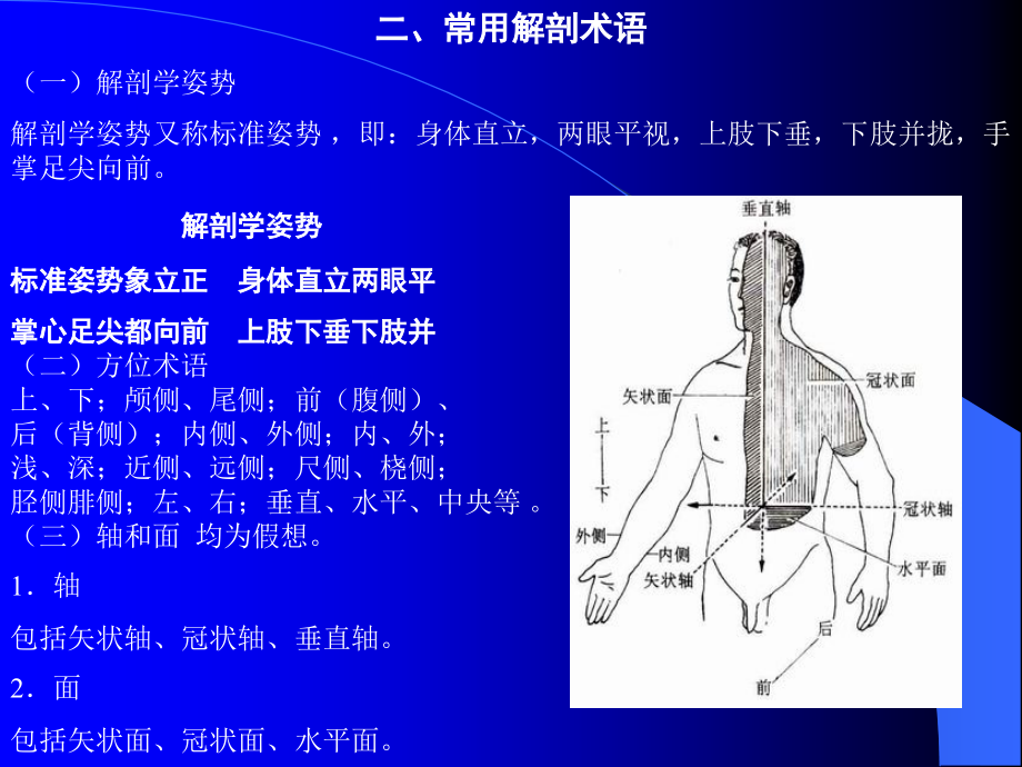 重庆大学医学部分之《人体系统解剖学》_第4页