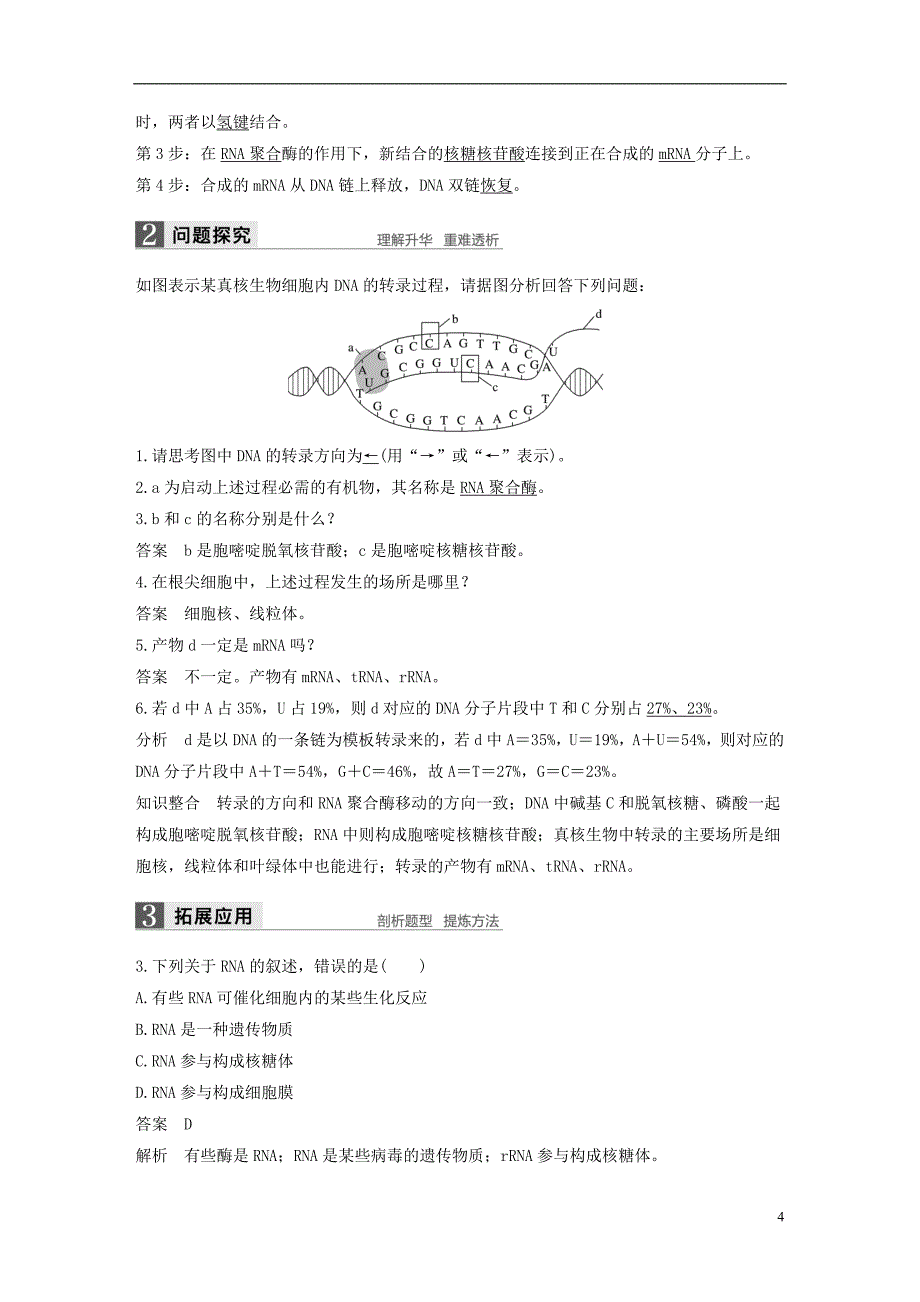 高中生物第四章遗传的分子基础第三节基因控制蛋白质的合成第1课时教学案苏教版必修2_第4页