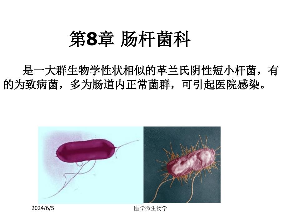 医学微生物学课件第8章肠杆菌科_第1页