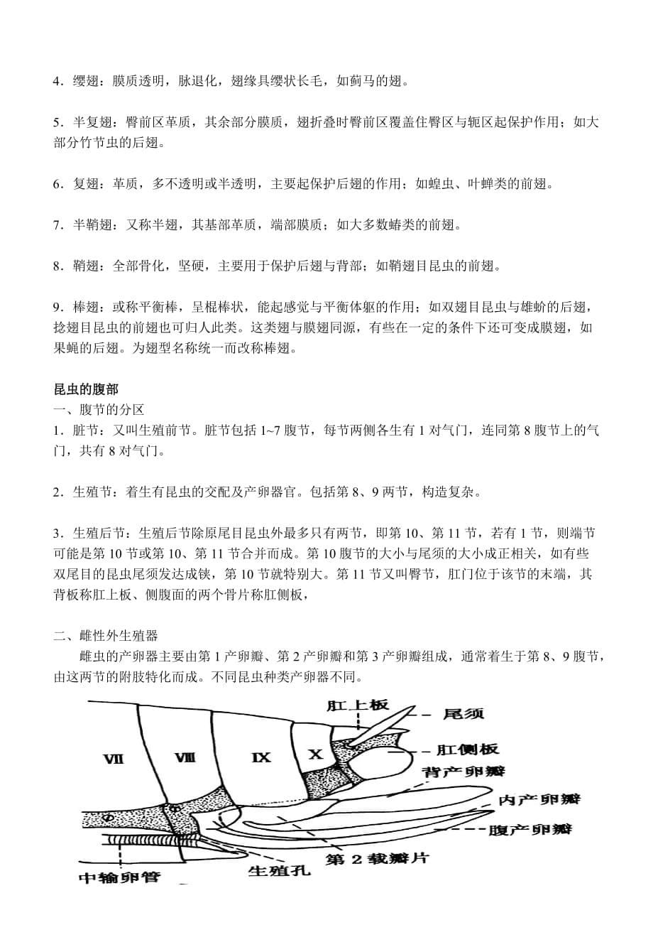 昆虫的外部形态(胸、腹、体壁)_教（学）案_第5页