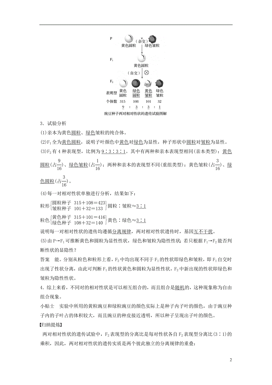 高中生物第4章遗传信息的传递规律第15课时基因的自由组合规律(Ⅰ)教学案北师大必修2_第2页