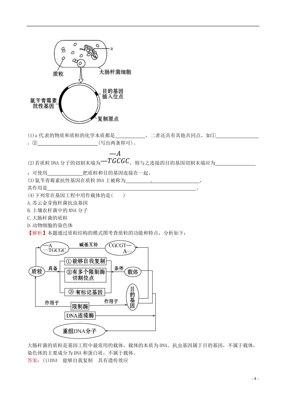 高中生物精讲优练课型专题1基因工程1.1DNA重组技术的基本工具课时达标效果检测新人教版选修3_第4页