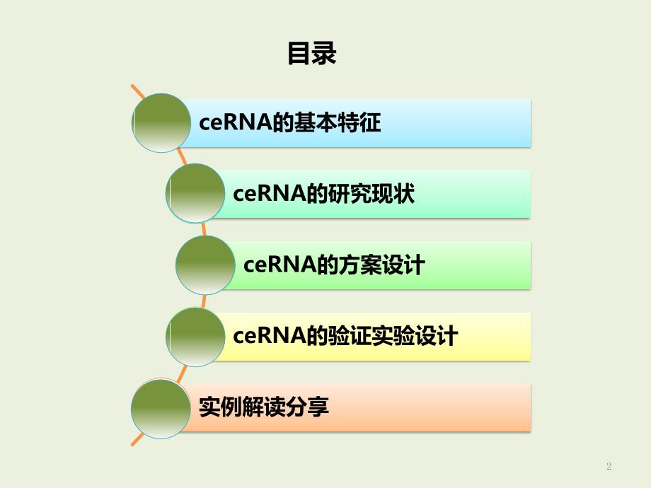 ceRNA机制及研究方案介绍PPT幻灯片课件_第2页