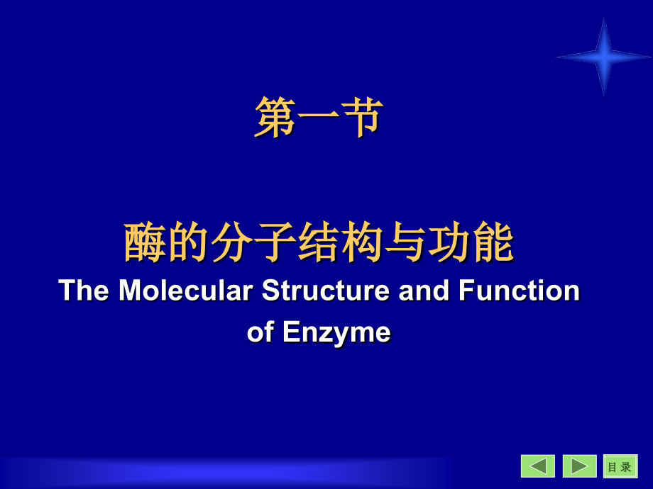 生物化学课件——第3章-酶_第4页