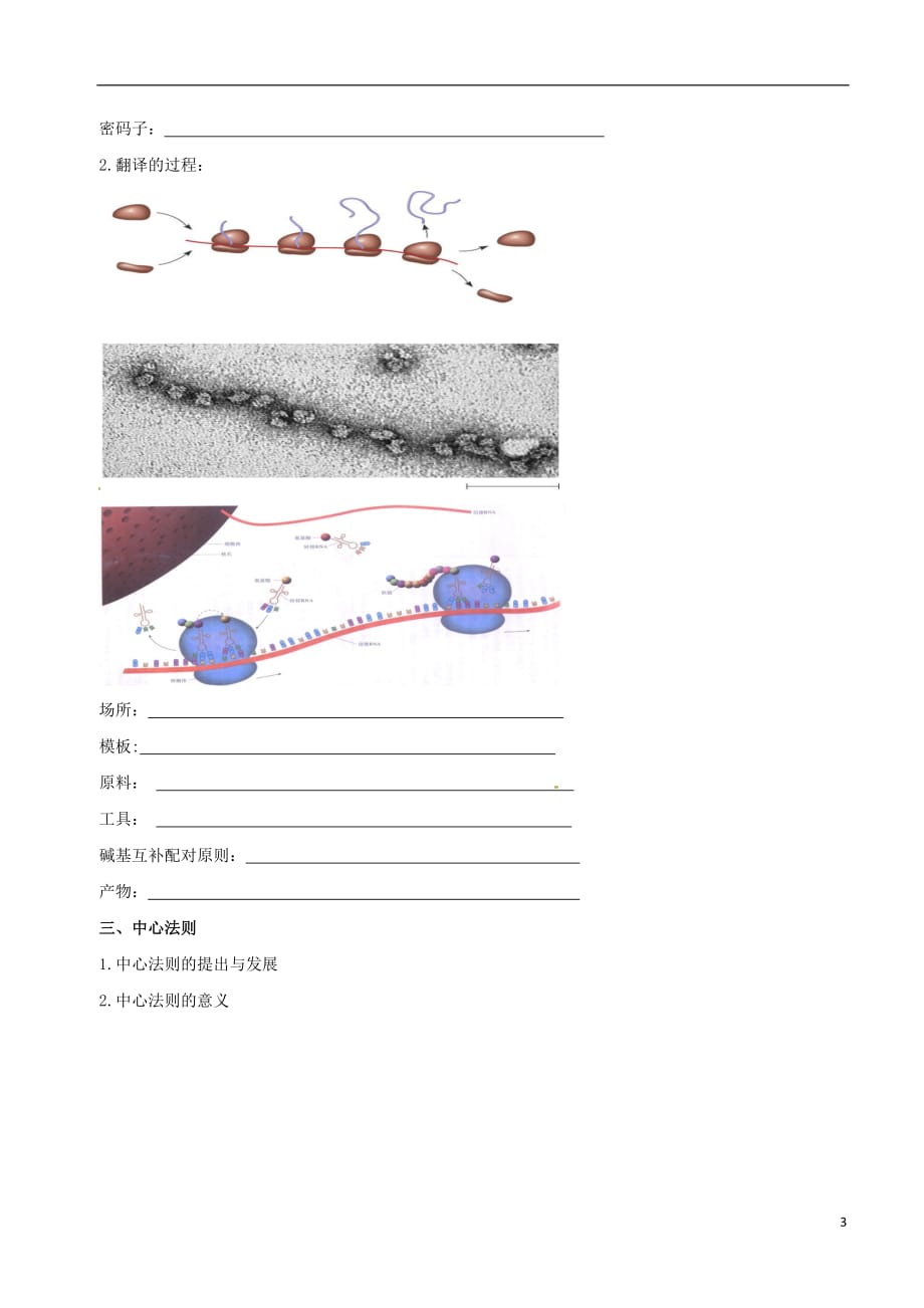 高中生物基因的表达素材新人教版必修2_第3页