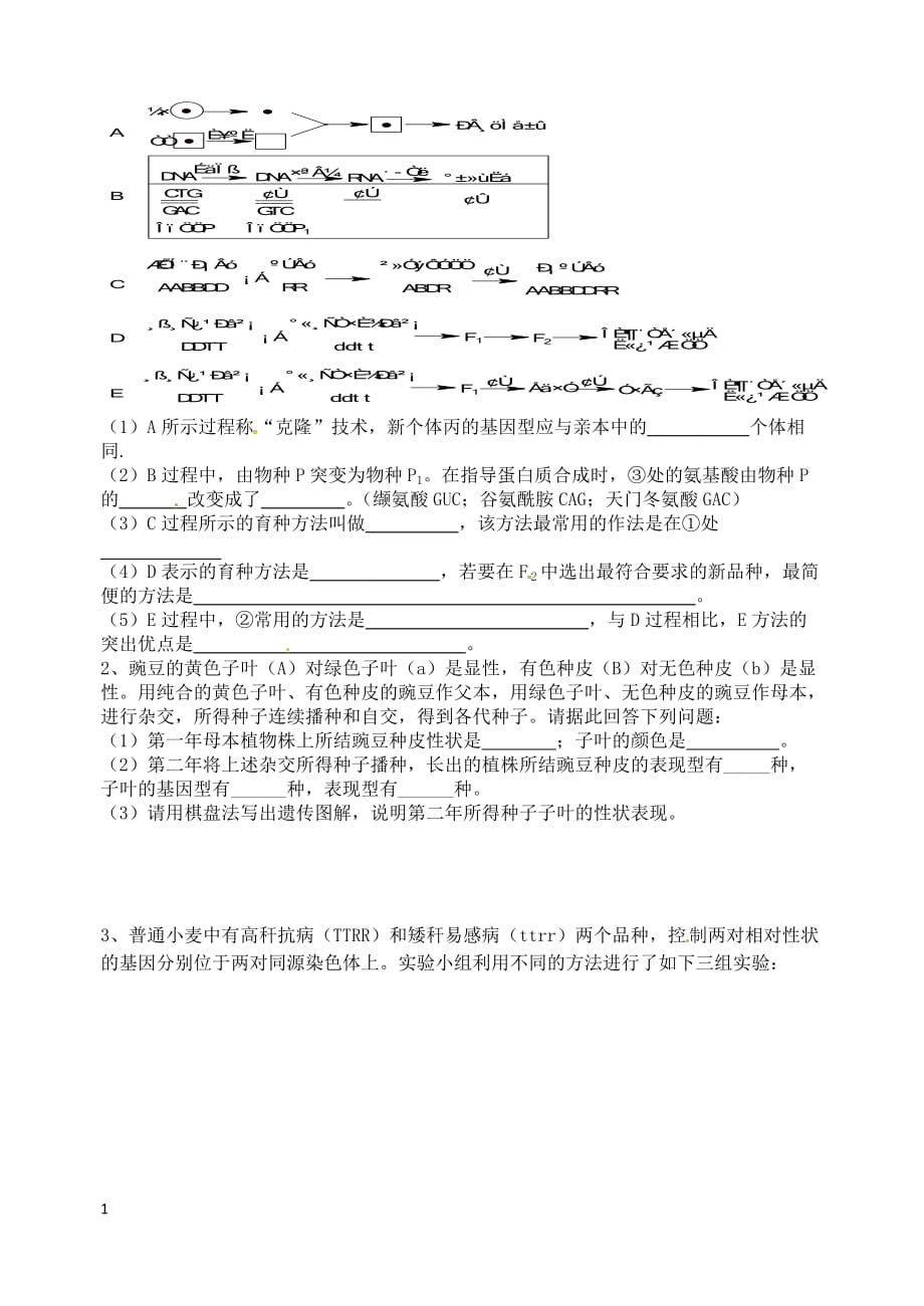 6.1《杂交育种与诱变育种》教学案缪运良电子教案_第4页