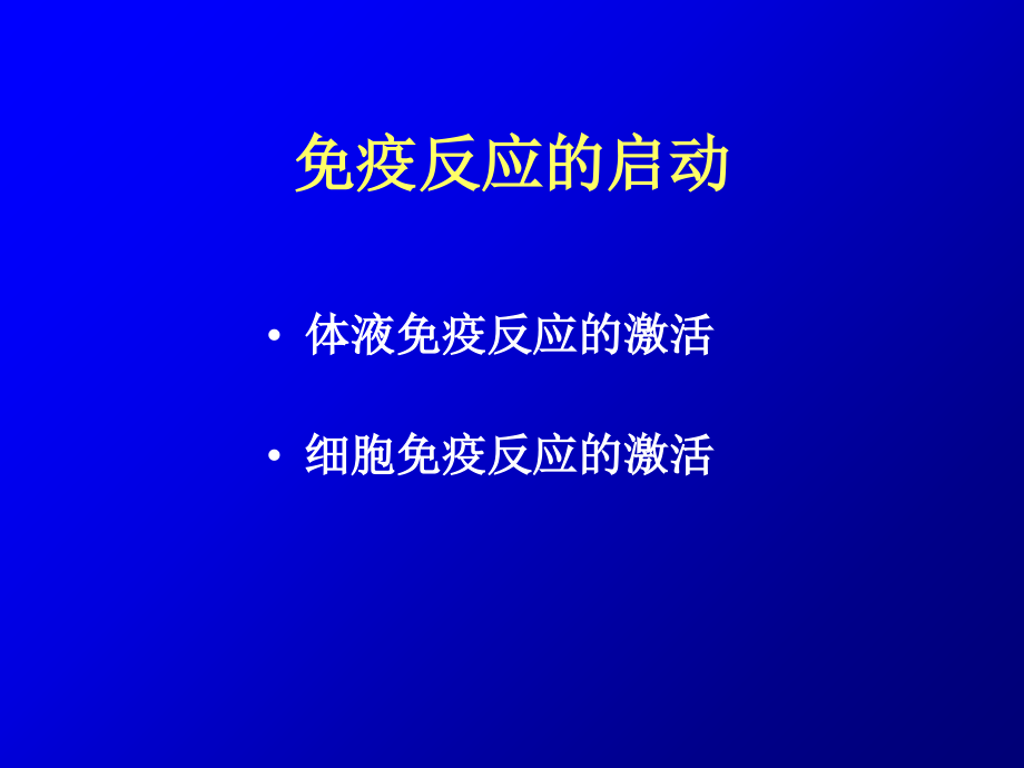 肾脏免疫学acn_第3页