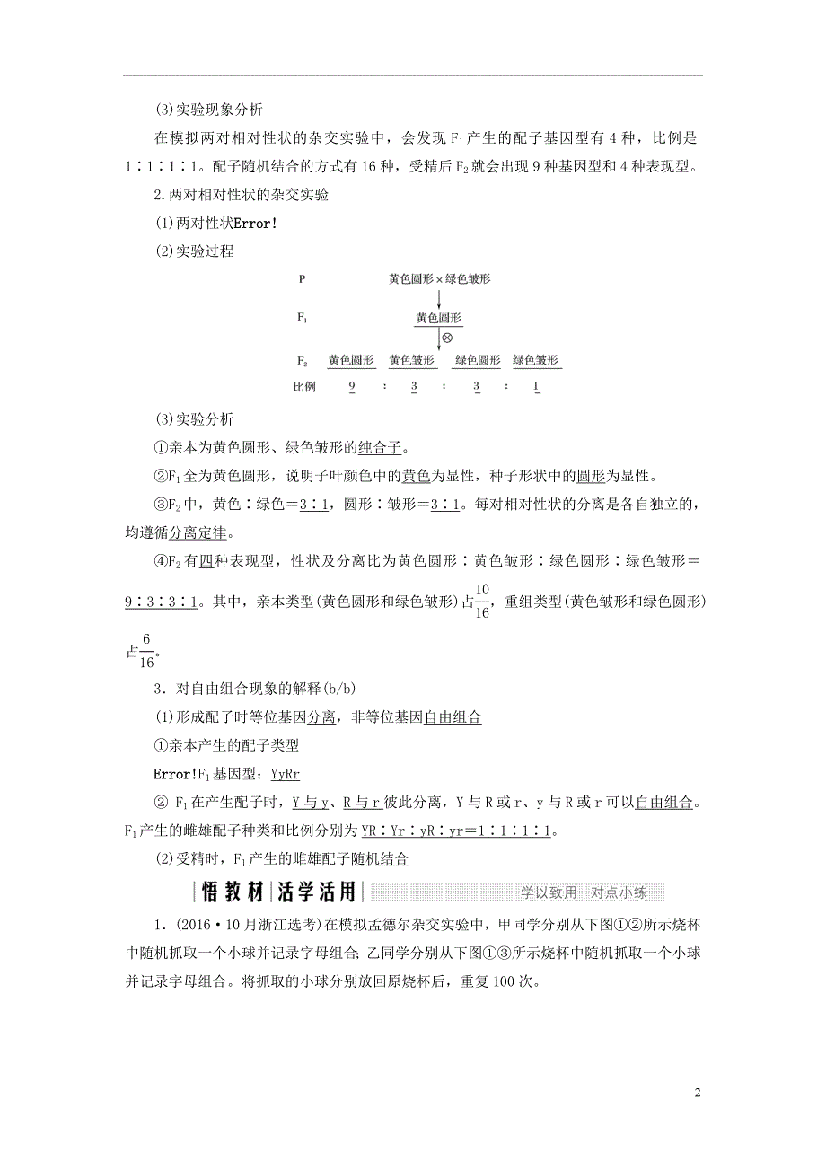 高中生物第一章孟德尔定律第4课时自由组合定律（Ⅰ）同步备课教学案浙科必修2_第2页