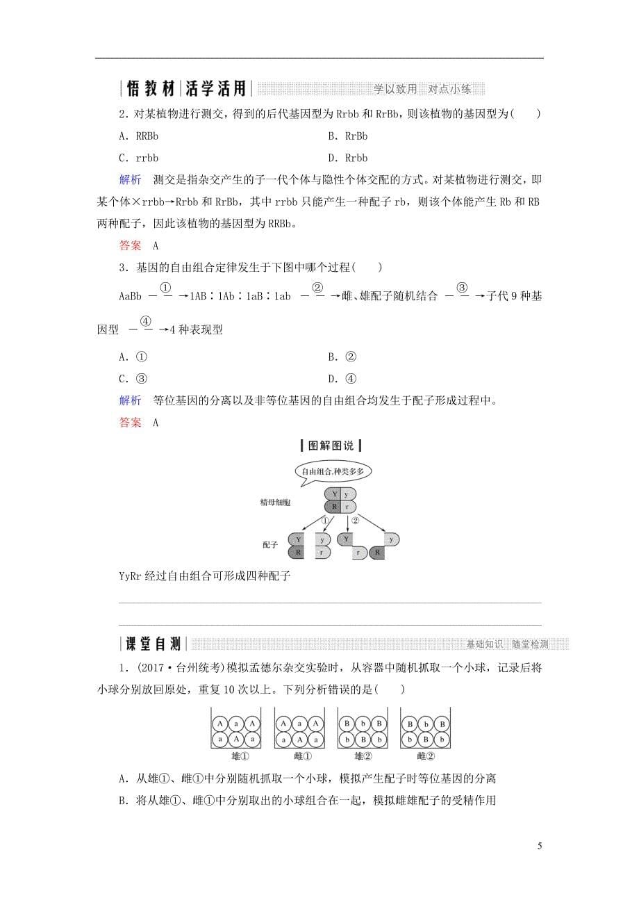 高中生物第一章孟德尔定律第4课时自由组合定律（Ⅰ）同步备课教学案浙科必修2_第5页