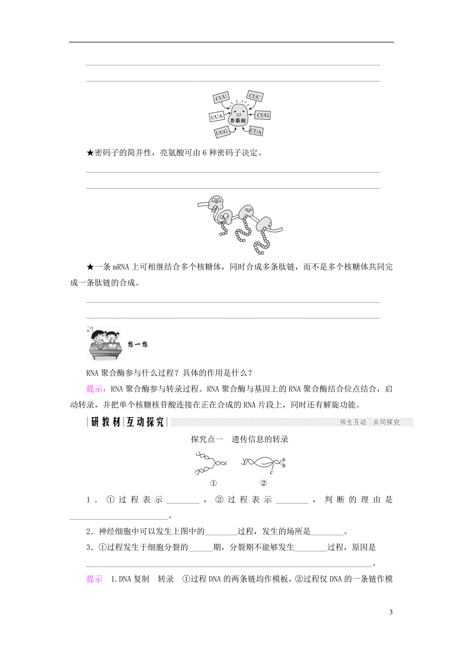 高中生物第四章遗传的分子基础第14课时从基因到蛋白质学案苏教必修2_第3页