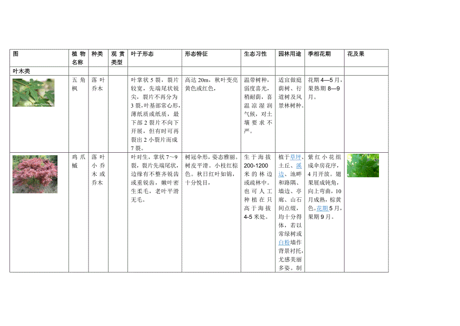 植物分类介绍_叶木类灌木类花木类_第1页