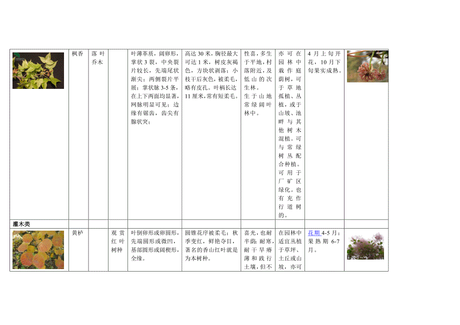 植物分类介绍_叶木类灌木类花木类_第4页