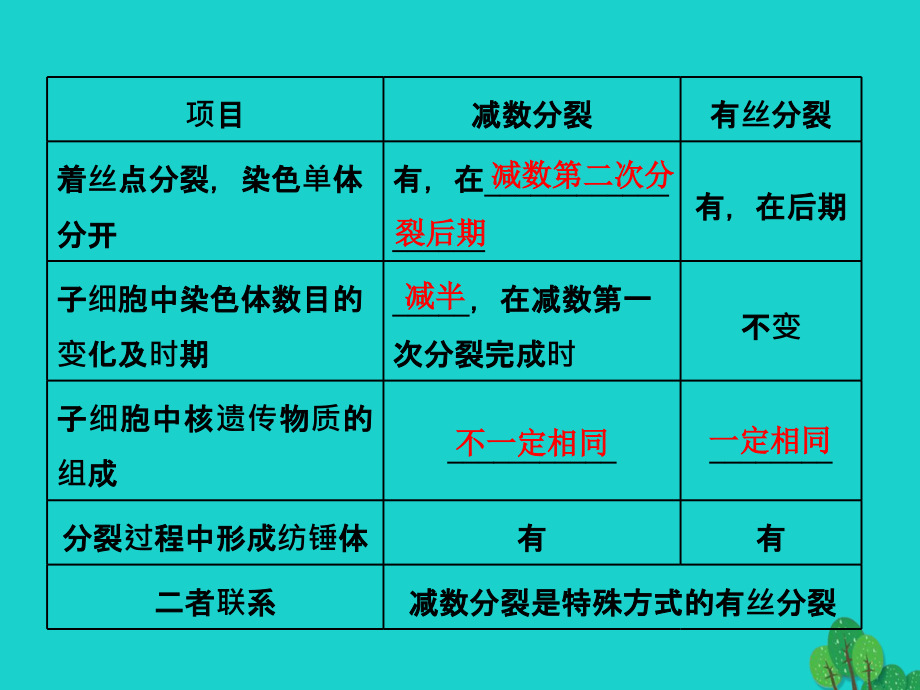 练酷版2017版高考生物一轮复习 第四单元 细胞的生命历程 第2讲 减数分裂和受精作用（第2课时）减数分裂与有丝分裂及与变异的关系课件（必修1）_第3页