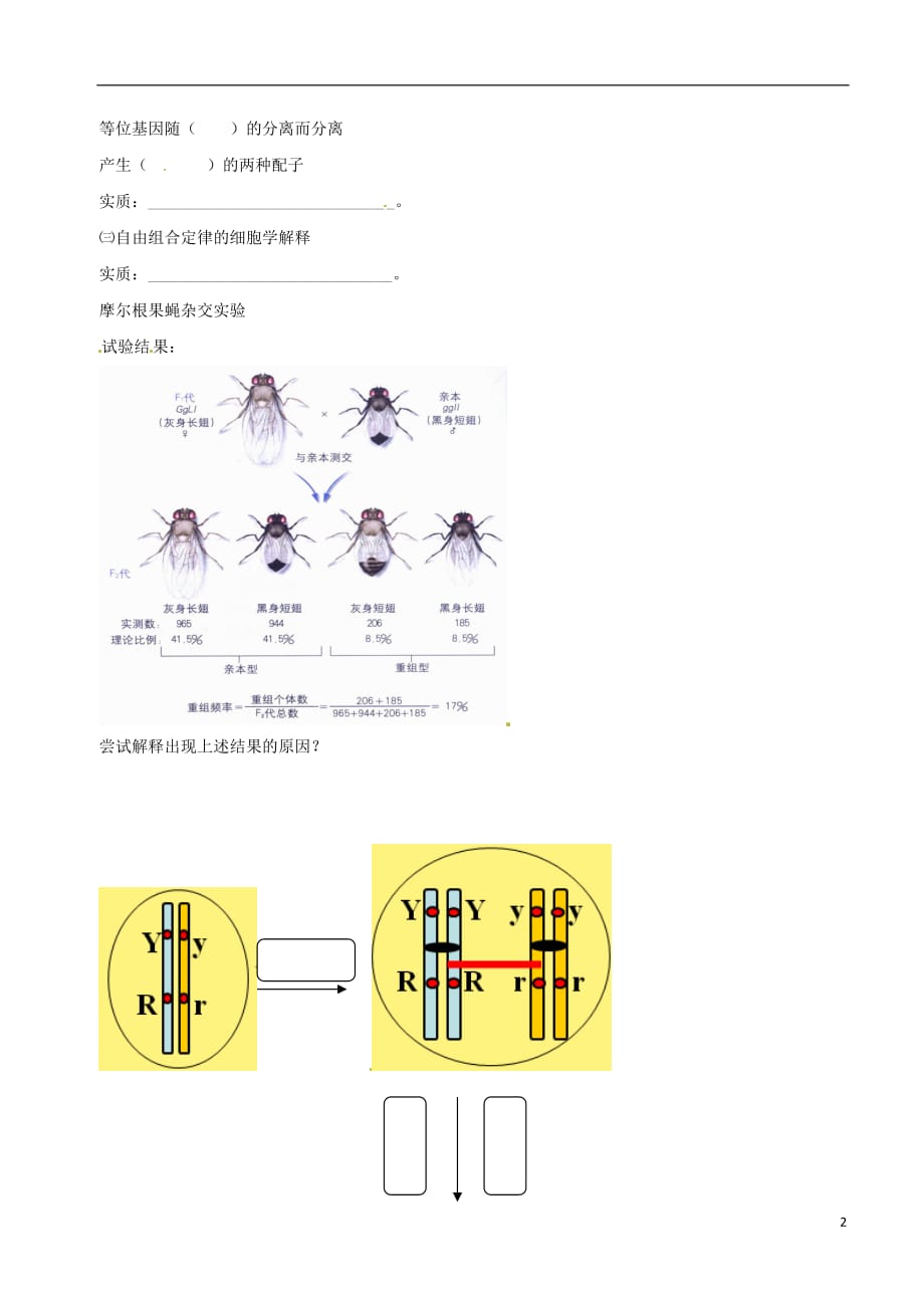 高中生物基因在染色体上素材新人教版必修2_第2页