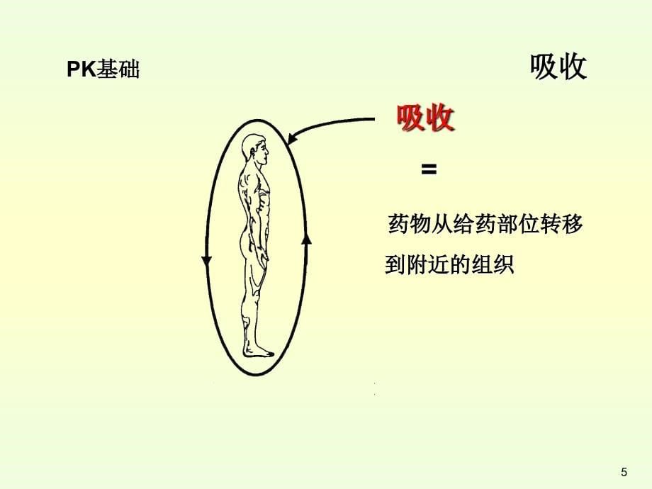 药代动力学计算软件演示_第5页