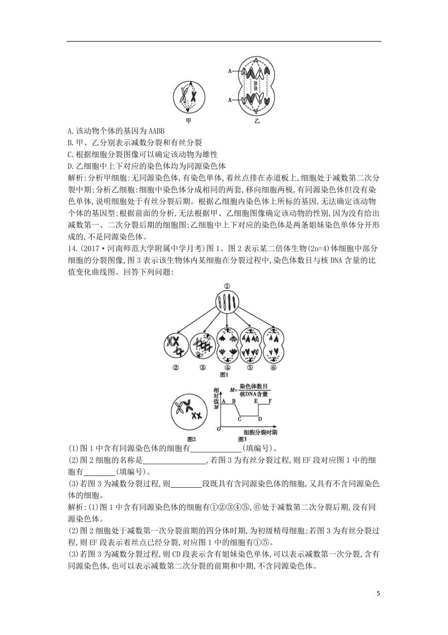 高中生物第2章基因和染色体的关系第1节减数分裂和受精作用第1课时减数分裂课时训练B新人教必修2_第5页