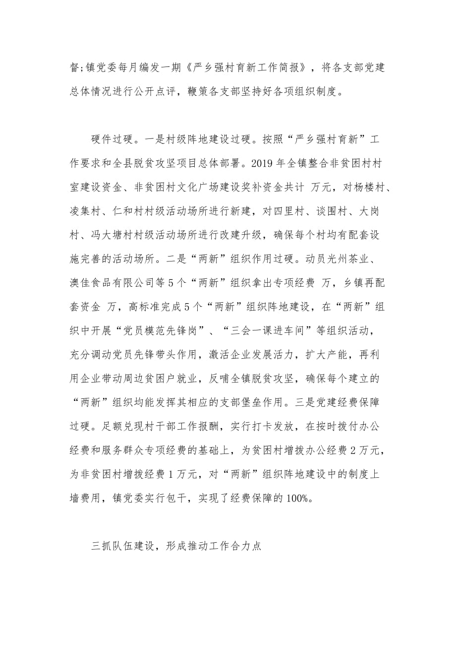 2020年某基层党支部党建述职报告范文_第3页
