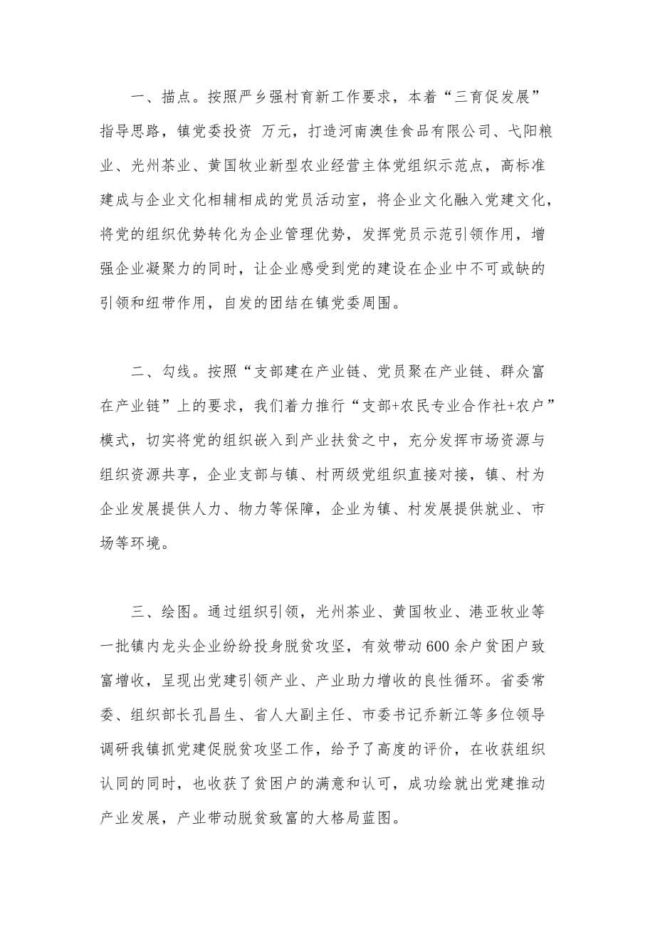 2020年某基层党支部党建述职报告范文_第5页