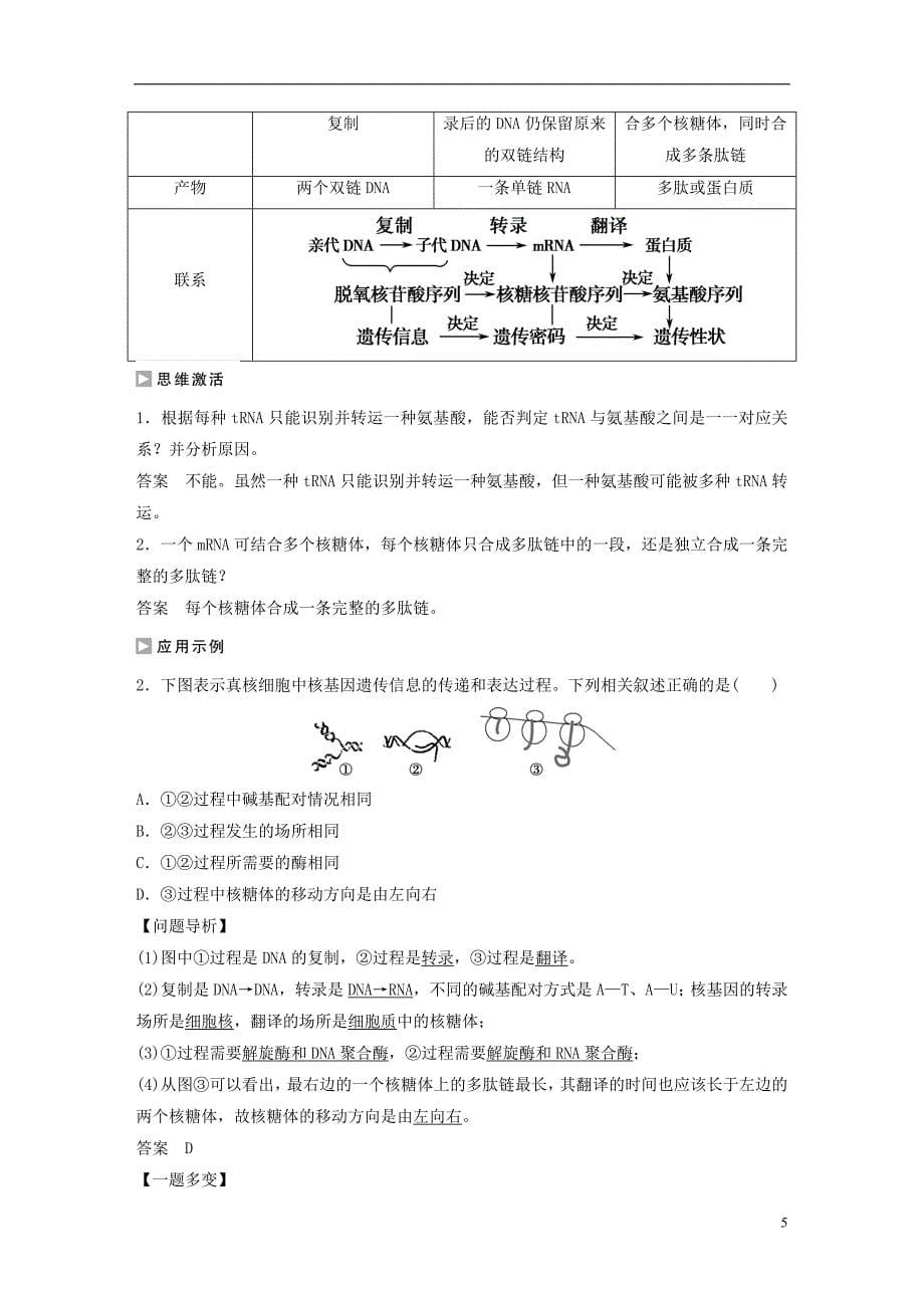 高中生物第四章第三节遗传信息的翻译（第2课时）课时作业苏教版必修2_第5页