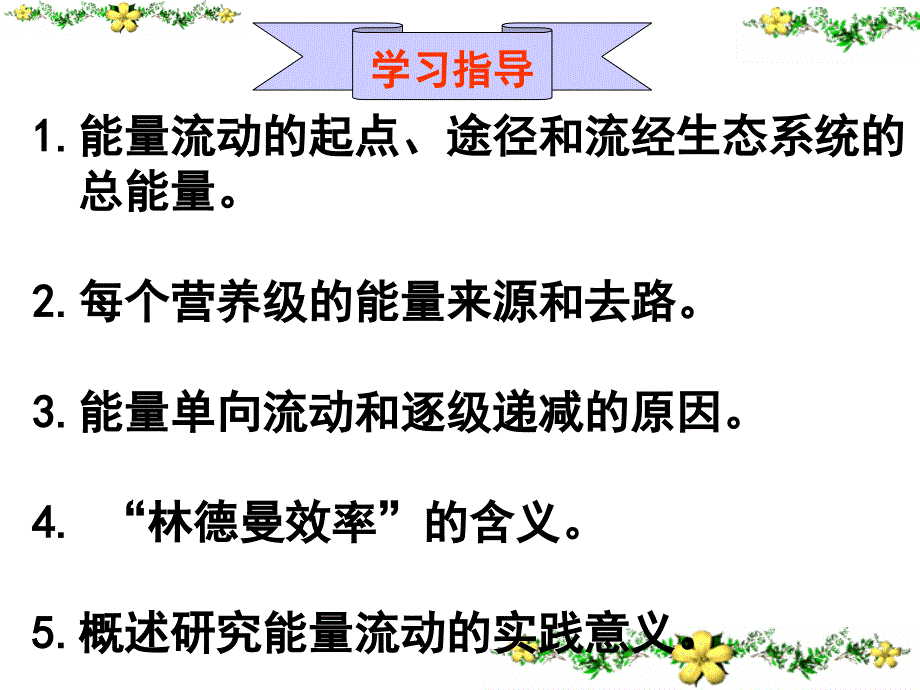 生态系统的能量流动 课件（人教版必修3）_第3页