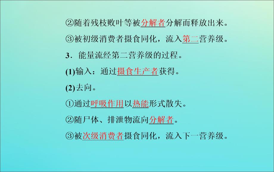 2019年高中生物第5章第2节生态系统的能量流动课件新人教版必修.ppt_第4页