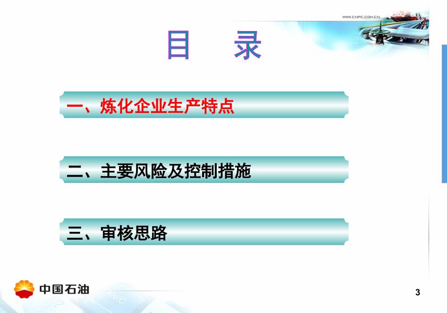 炼化企业HSE管理体系审核_第3页