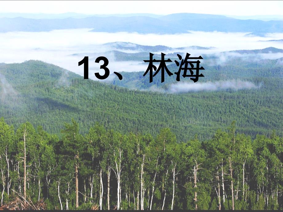 六年级语文上册第四单元13林海课件推荐北京版.ppt_第1页