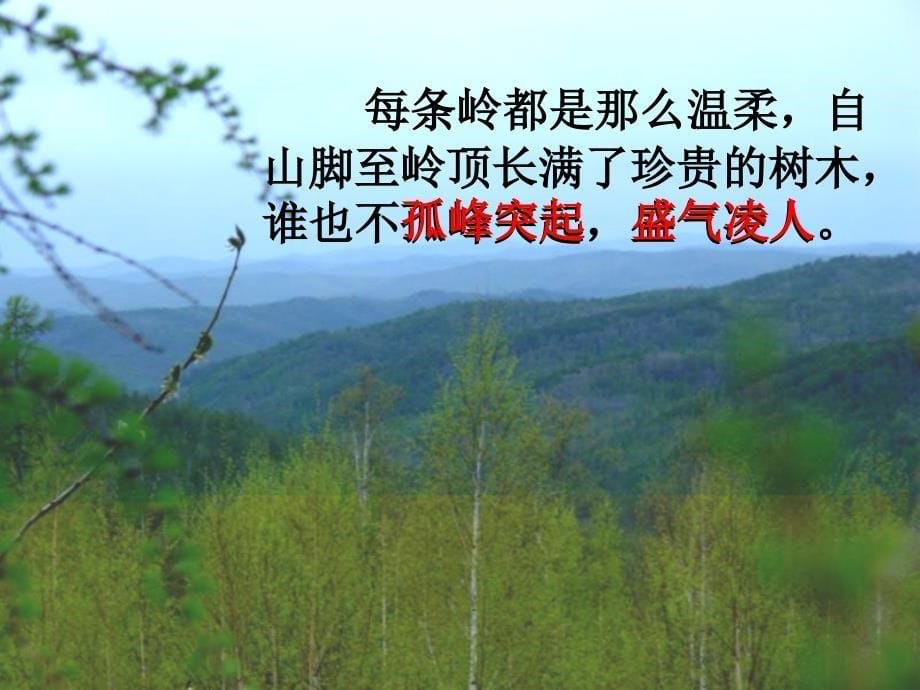 六年级语文上册第四单元13林海课件推荐北京版.ppt_第5页