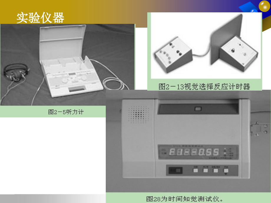 202X年心理发展与教育讲义_第4页