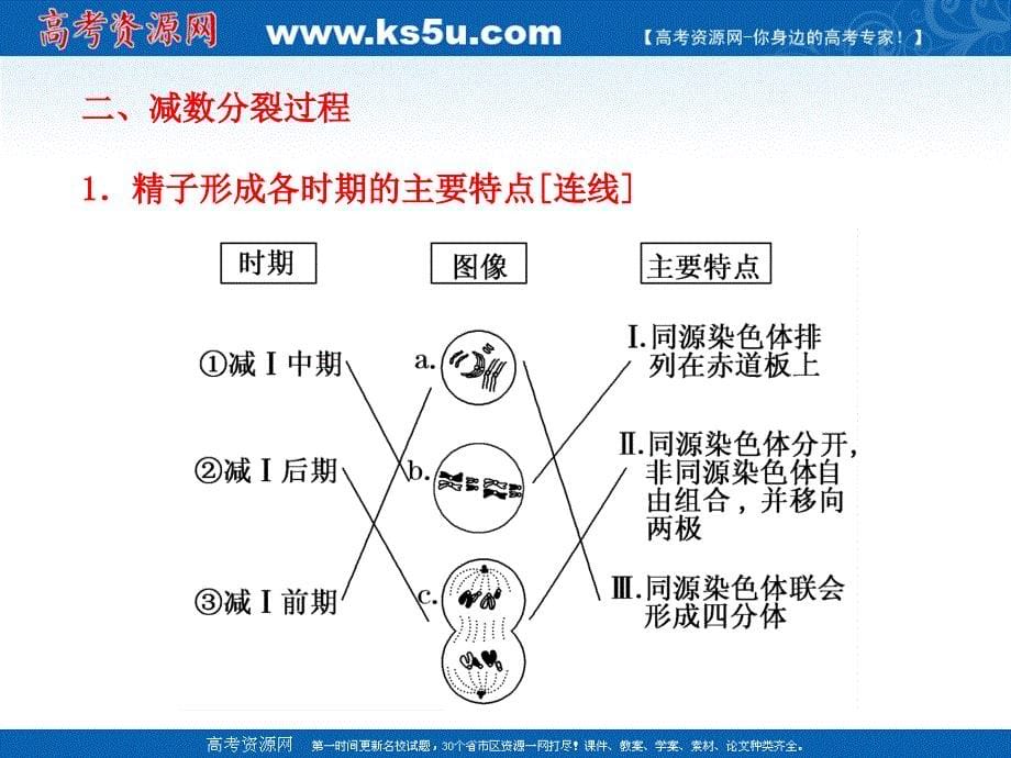 2.1《减数分裂和受精作用》课件3教学内容_第5页