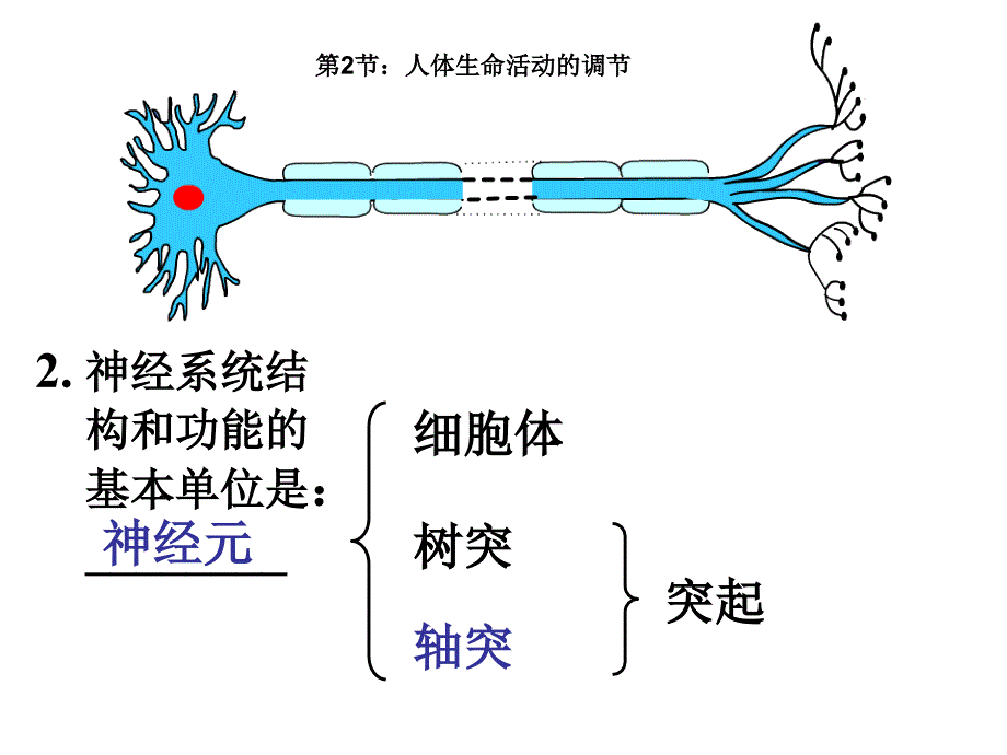 江苏省南京市东山外语国际学校高三生物《第二章第234节复习简集》课件_第2页